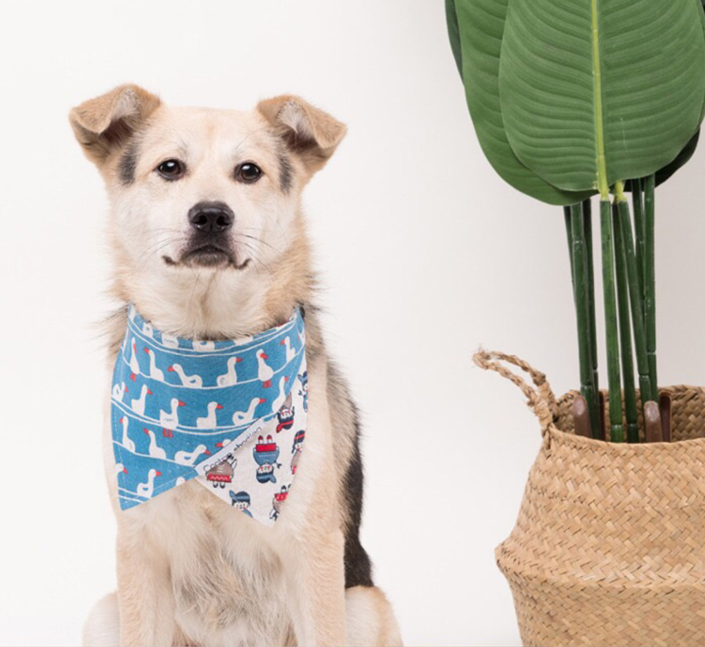 Double-sided Cotton and Linen Printed Dog Bandana petin