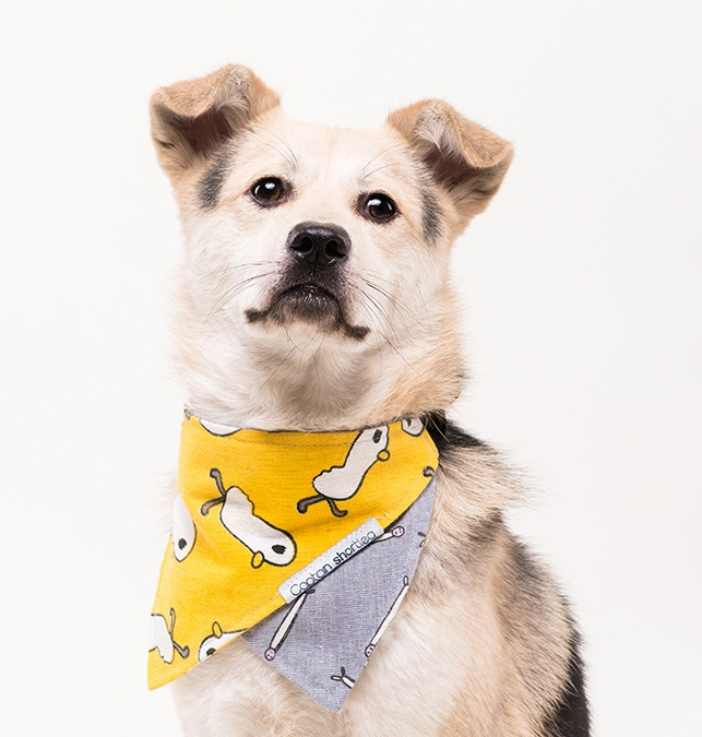 Double-sided Cotton and Linen Printed Dog Bandana petin