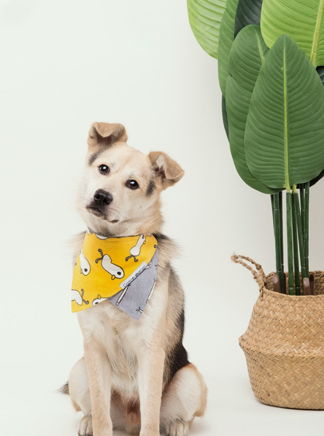 Double-sided Cotton and Linen Printed Dog Bandana petin