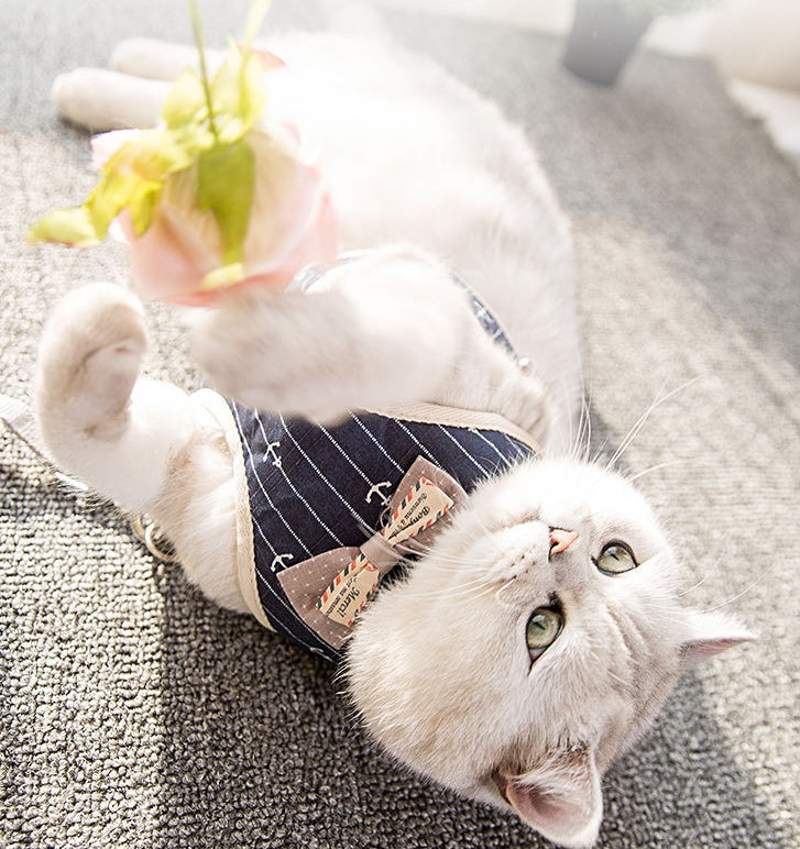 Elegant and Fashionable British Style Cat Harness petin