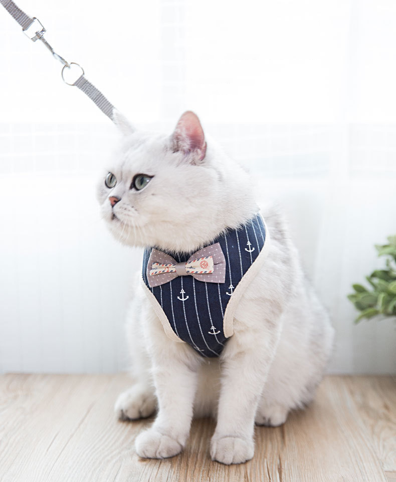 Elegant and Fashionable British Style Cat Harness petin