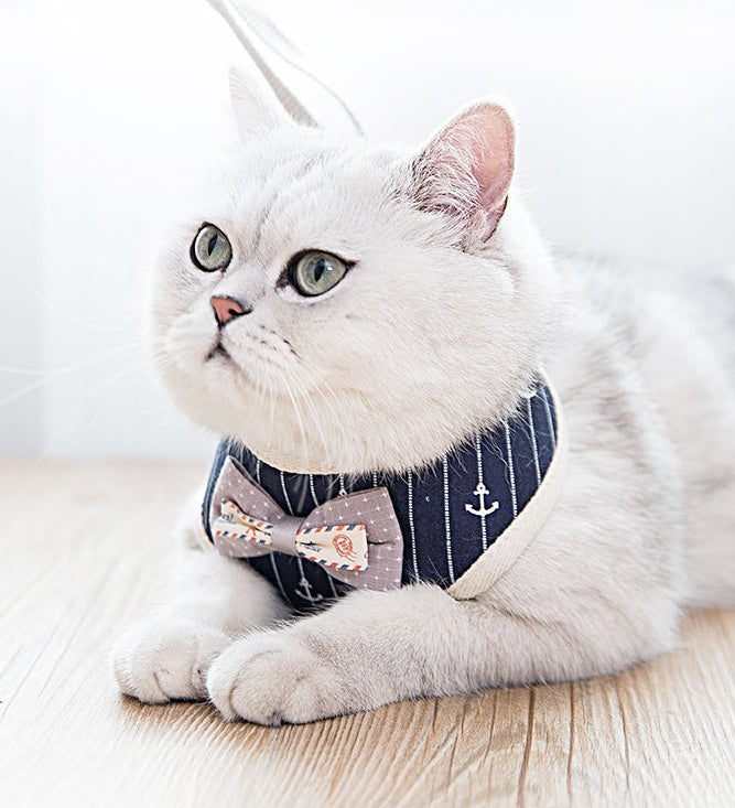 Elegant and Fashionable British Style Cat Harness petin