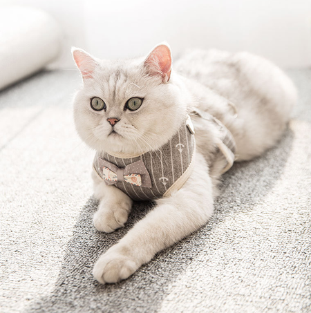 Elegant and Fashionable British Style Cat Harness petin