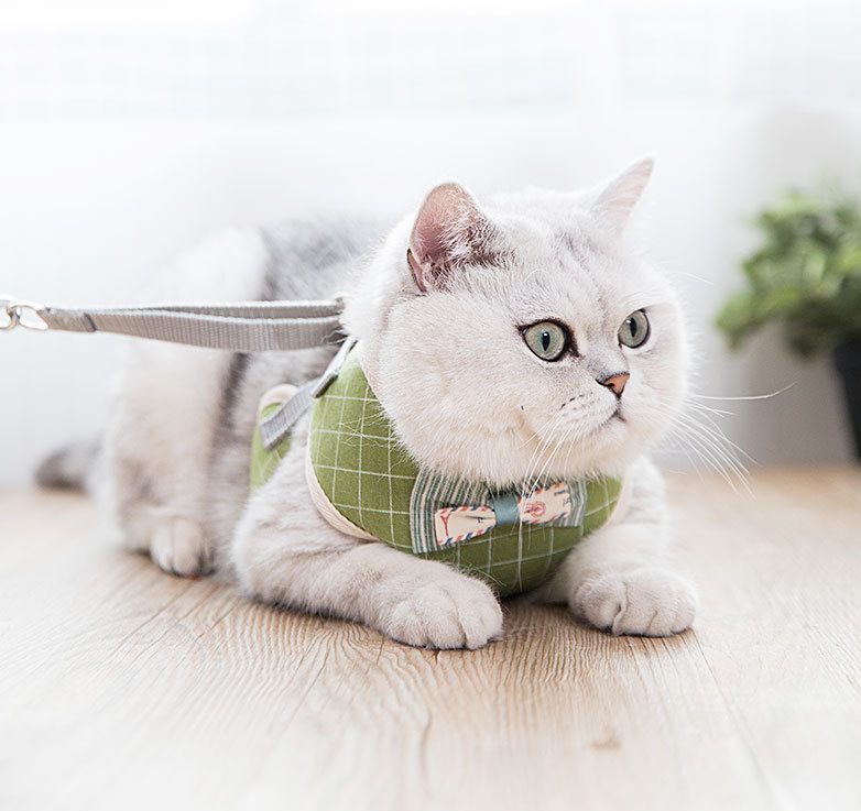 Elegant and Fashionable British Style Cat Harness petin