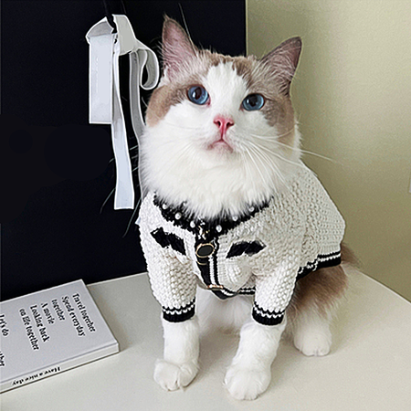 Elegant and Pearly Cat Cardigan petin