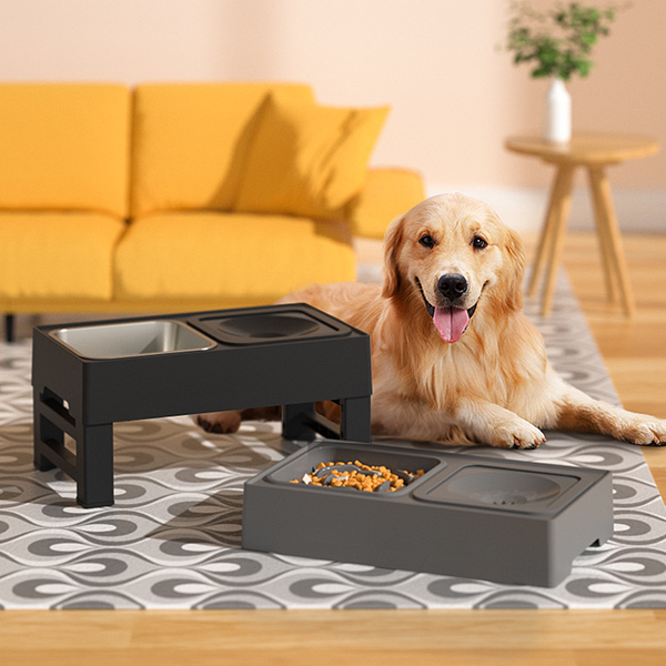 Elevated Dog Bowl with Slow Feeder and Spill Water Bowl