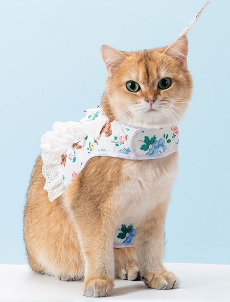 Embroidered Daisy Motif With Classic Lace Trim Cat Harness petin