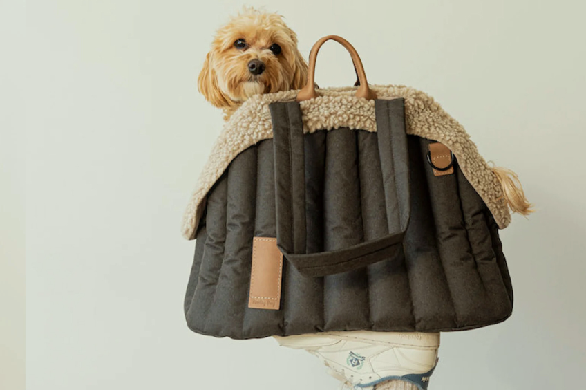 Fashion Shell Flannel Pet Travel Bag petin