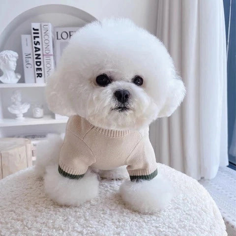 Fashion Dog Sweater 1