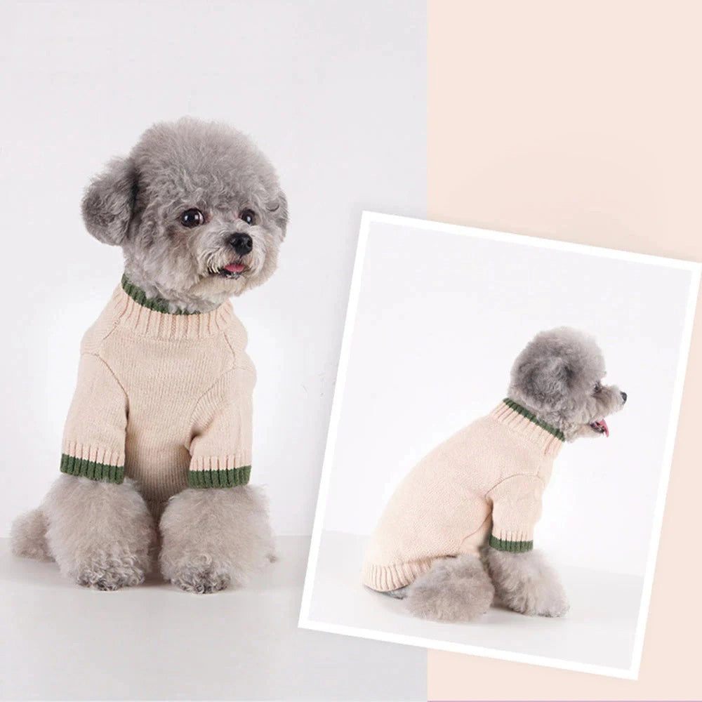 Fashion Dog Sweater 6