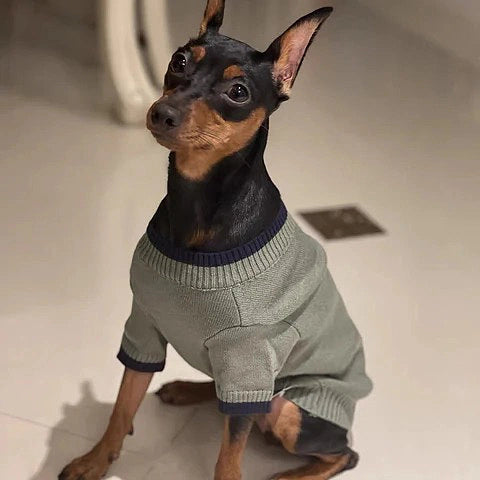 Fashion Dog Sweater 8