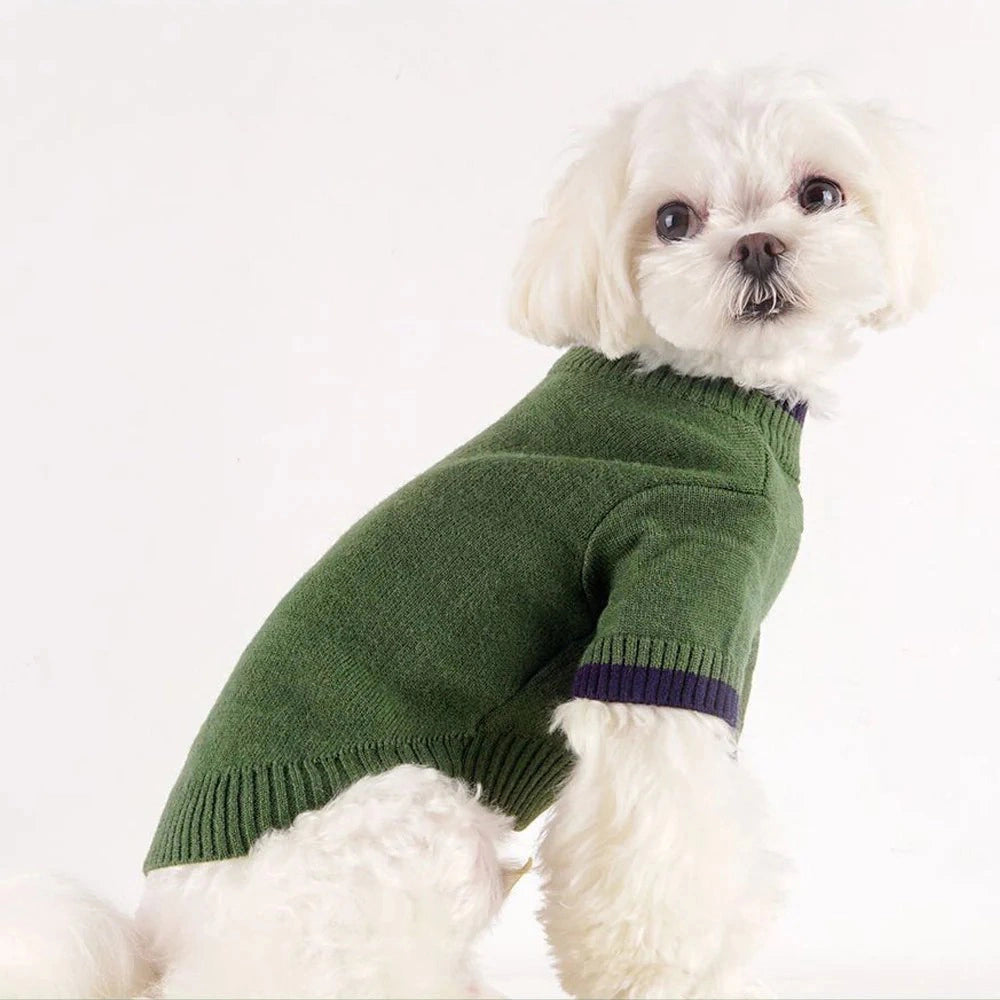 Fashion Dog Sweater 4