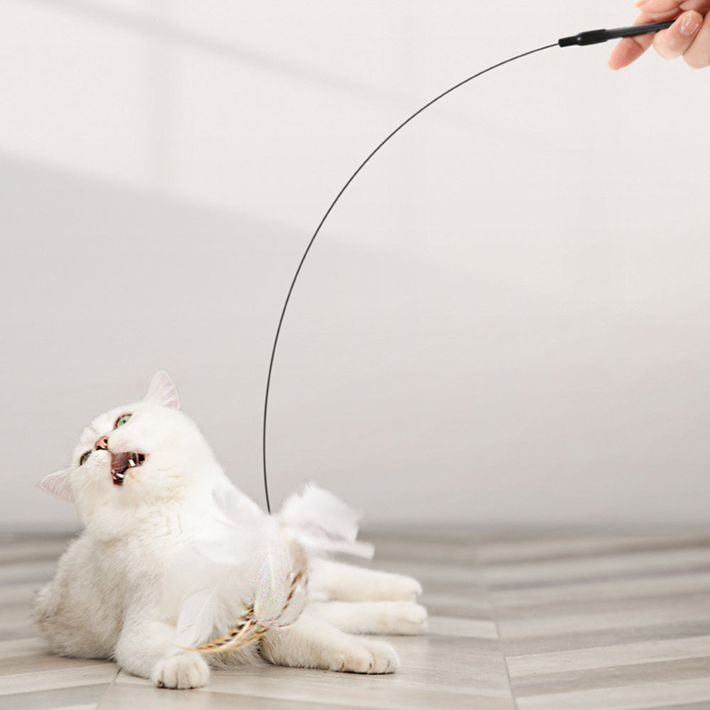 Fixed Steel Wire Cat Teaser petin