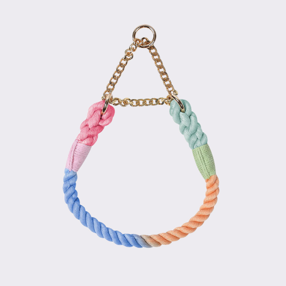 Flexible Iridescent Dog Collar petin