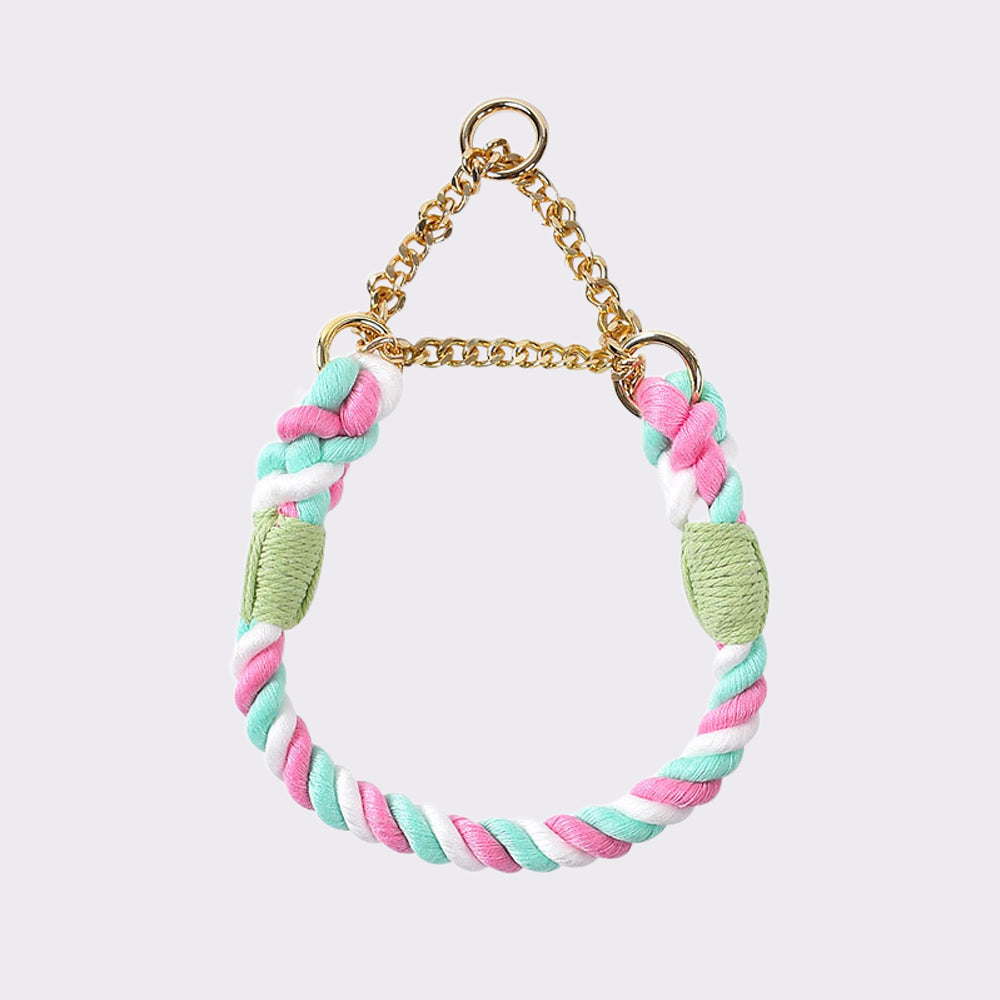 Flexible Iridescent Dog Collar petin