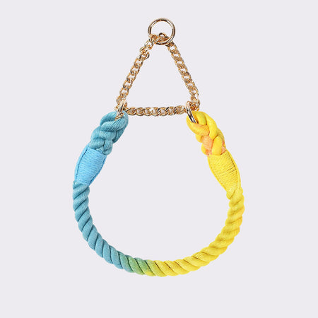 Flexible Iridescent Dog Collar petin