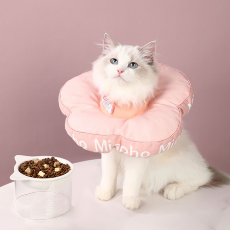 Flower E-Collar petin