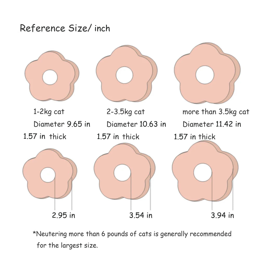 pet cones for cats