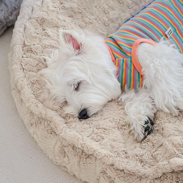 Fluffy Plush Cloud Dog Bed petin