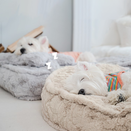 Fluffy Plush Cloud Dog Bed petin