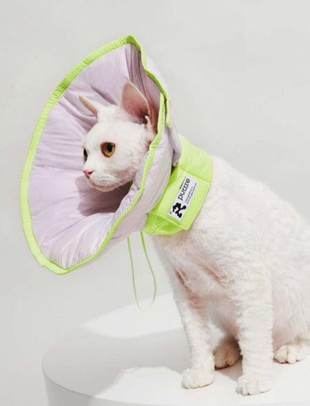 Fluorescent Waterproof E-Collar petin