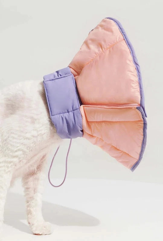 Fluorescent Waterproof Pet Cone 2