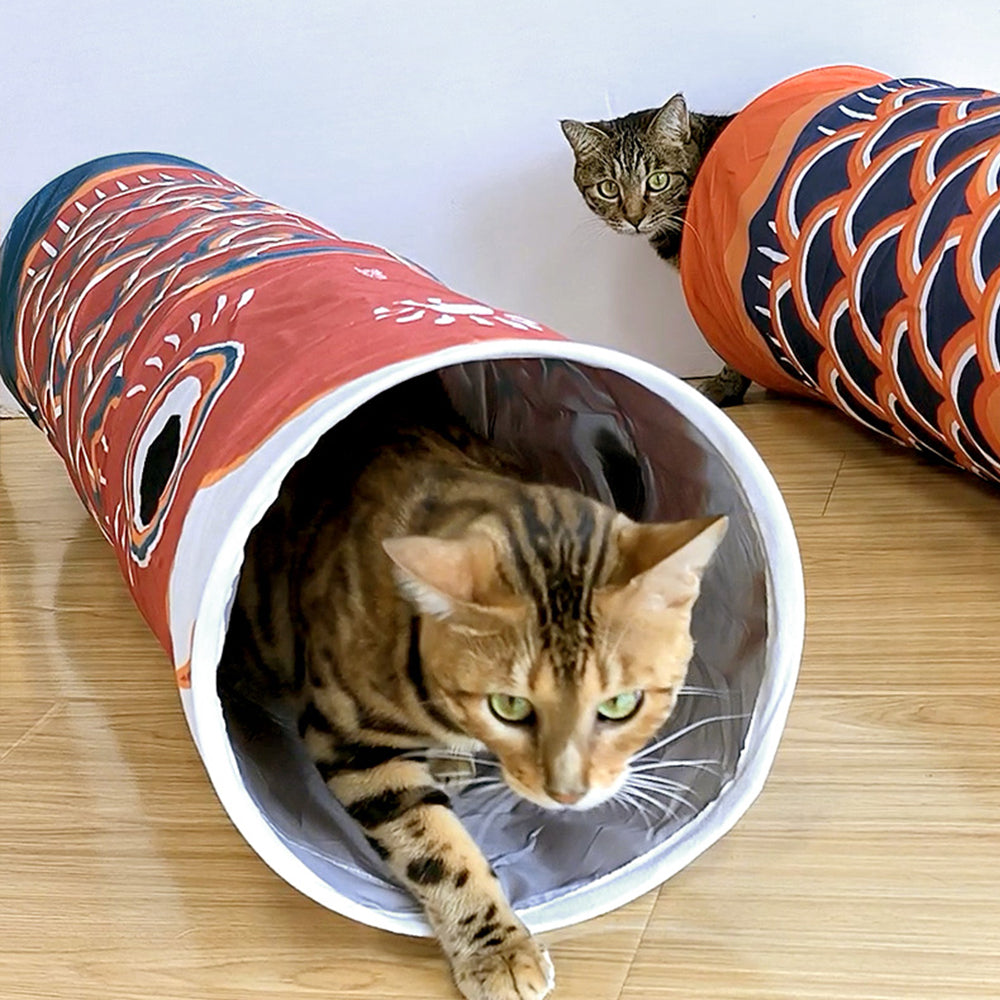 Foldable Carp Flag Cat Tunnel petin