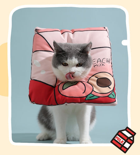 Food Series E-Collar petin