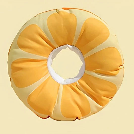 Food Series Pet Cone 8