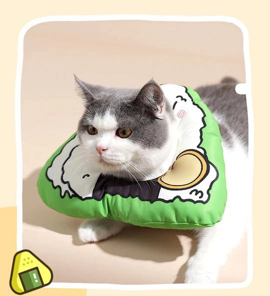 Food Series Pet Cone 3