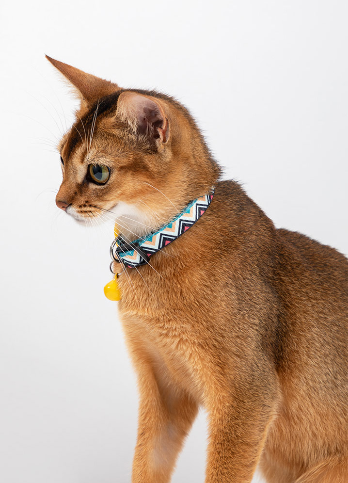 Freely Adjustable Colorful Cat Collar petin