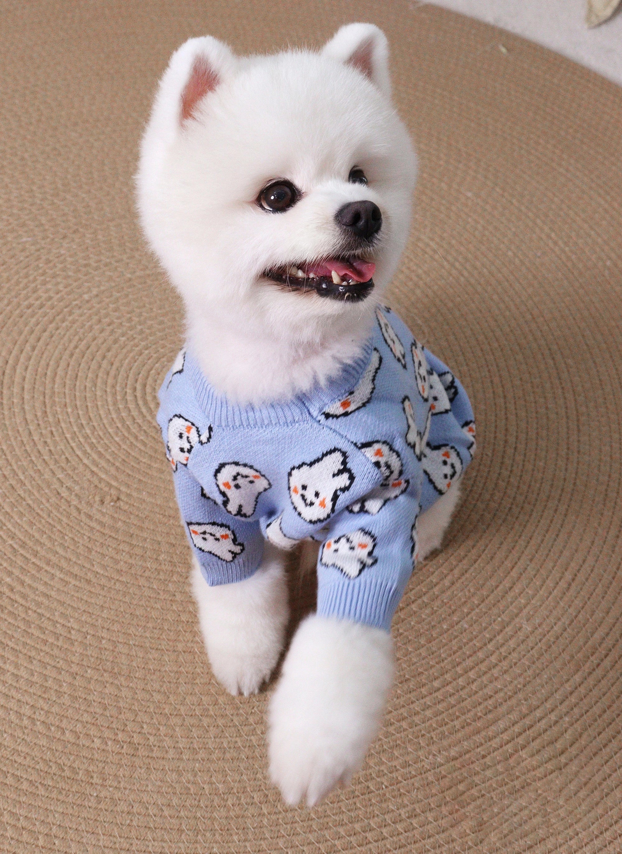 Full Print Bunny Knit Dog Sweater