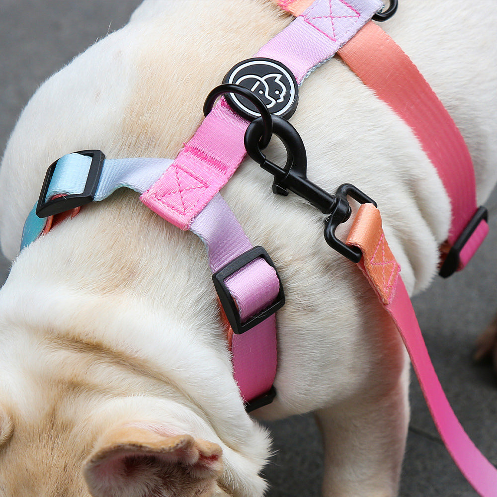 Gradient Color Breakproof Dog Collar&Leash Set petin