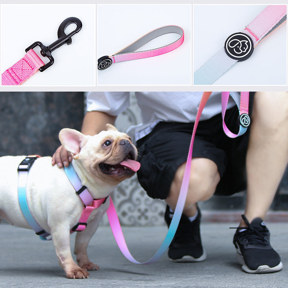 Gradient Color Breakproof Dog Collar&Leash Set petin