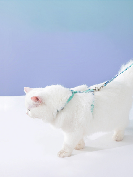 Gradient Rainbow Color Cat Harness petin