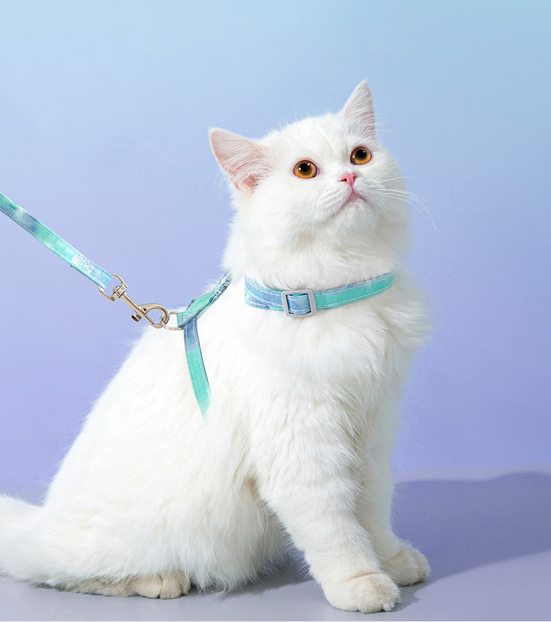 Gradient Rainbow Color Cat Harness petin