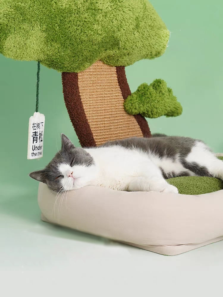 Green Pine Cat Bed with Scratching Board petin