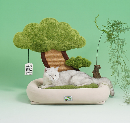 Green Pine Cat Bed with Scratching Board petin