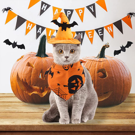 Halloween Party Pet Dress Up Set petin