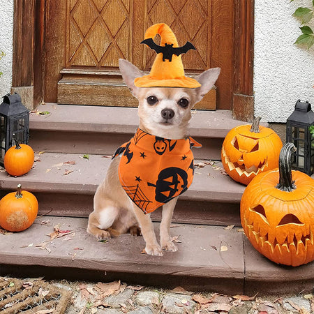 Halloween Party Pet Dress Up Set petin