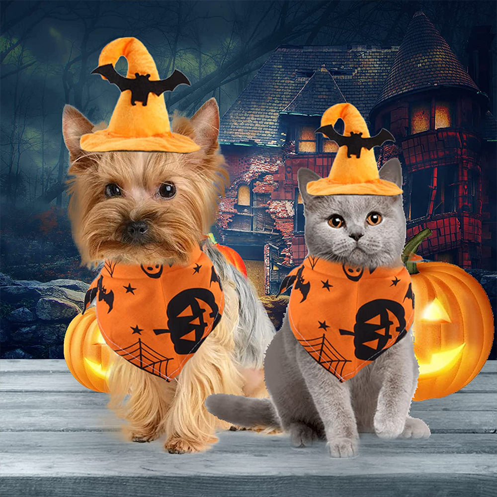 Halloween Party Pet Dress Up Set petin