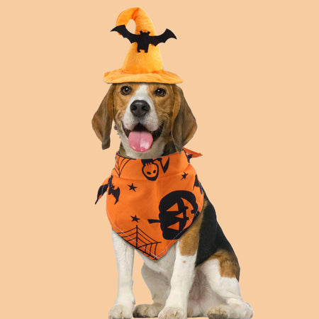 Halloween Party Pet Dress Up Set petin