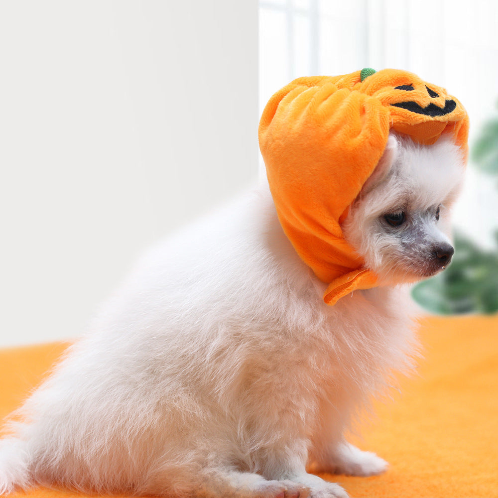 Halloween Pet Pumpkin Hat petin