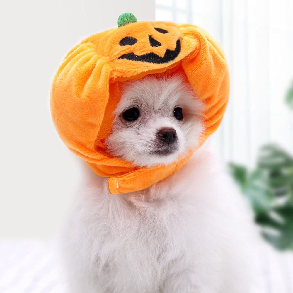 Halloween Pet Pumpkin Hat petin