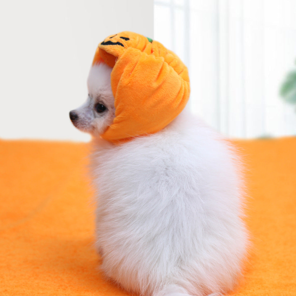 Halloween Pet Pumpkin Hat petin