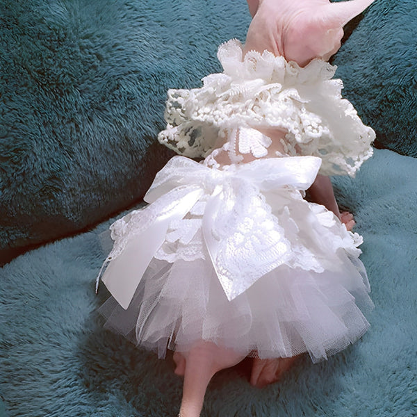 Handmade Beautiful Cat Wedding Dress petin
