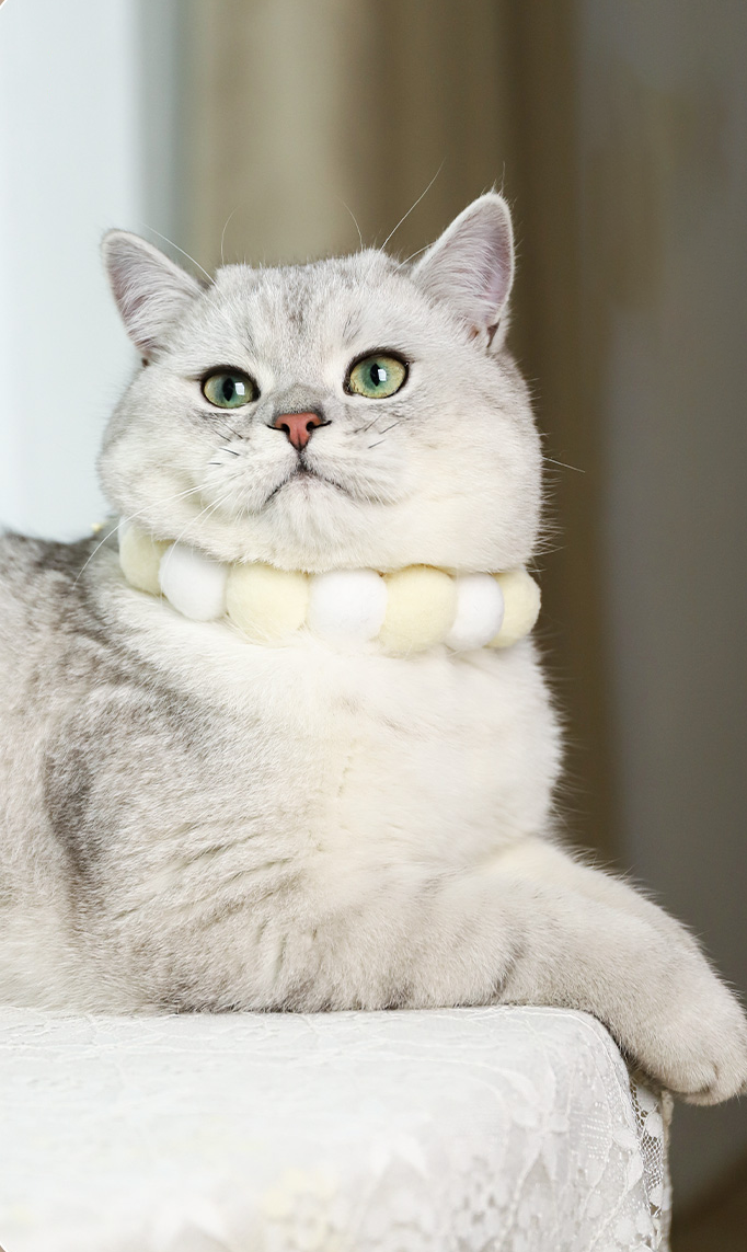 Handmade Fluffy Ball Adjustable Cat Knitted Collar petin