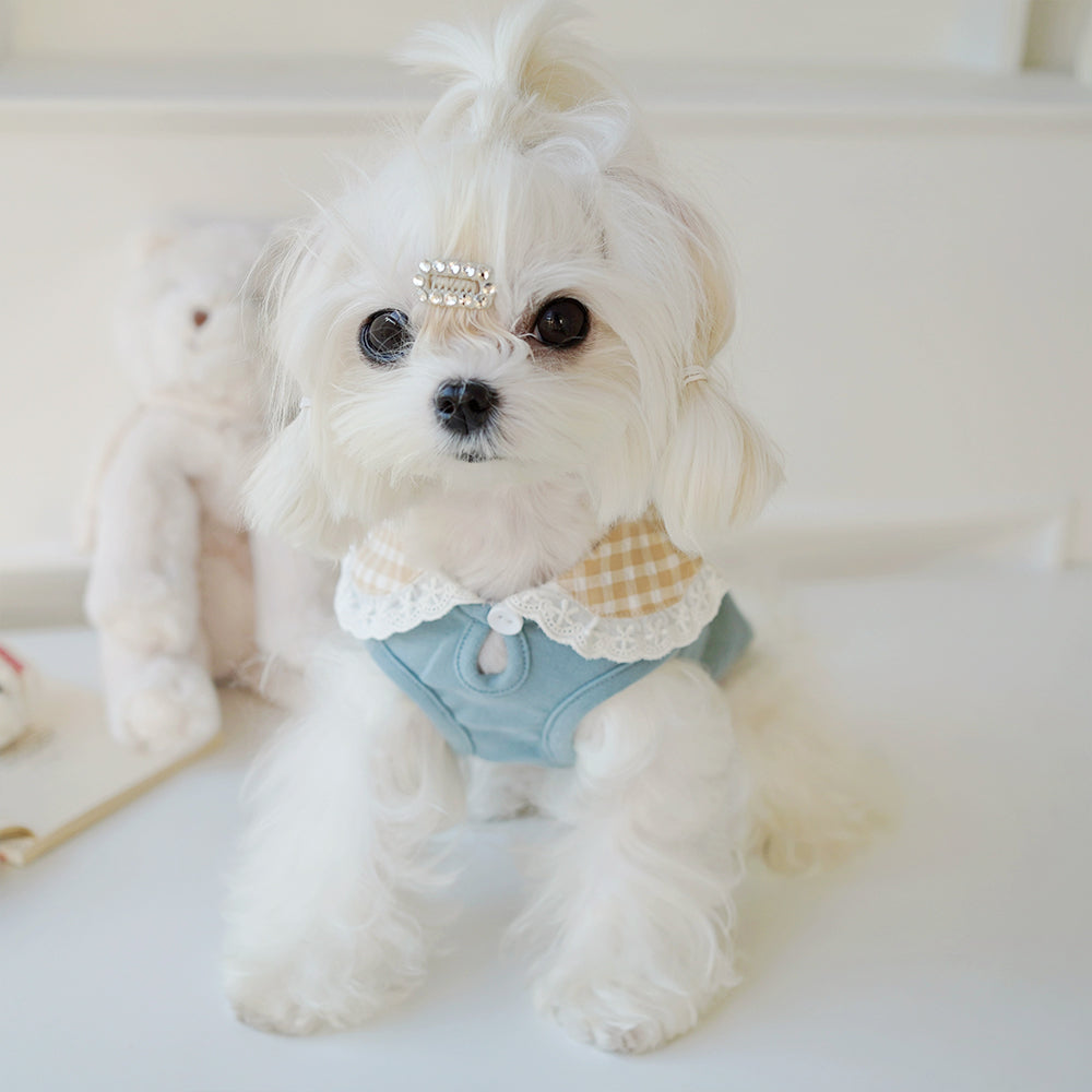 Handmade Pure Cotton Lace Edge Dog Dress petin