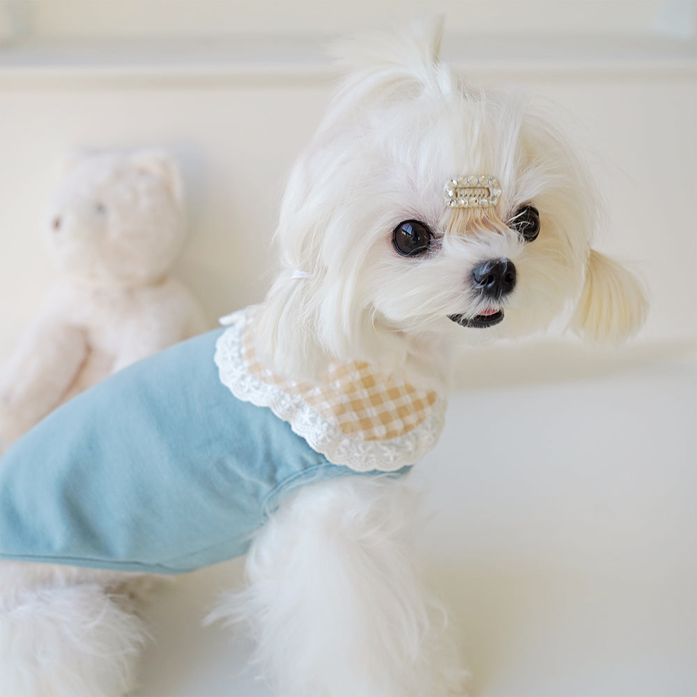 Handmade Pure Cotton Lace Edge Dog Dress petin