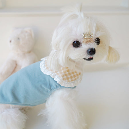 Handmade Pure Cotton Lace Edge Dog Dress petin